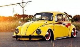 爆料甲壳虫游戏视频,全新视频曝光，带你领略刺激冒险之旅